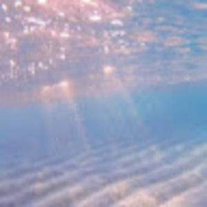 Meet your Posher, Elana